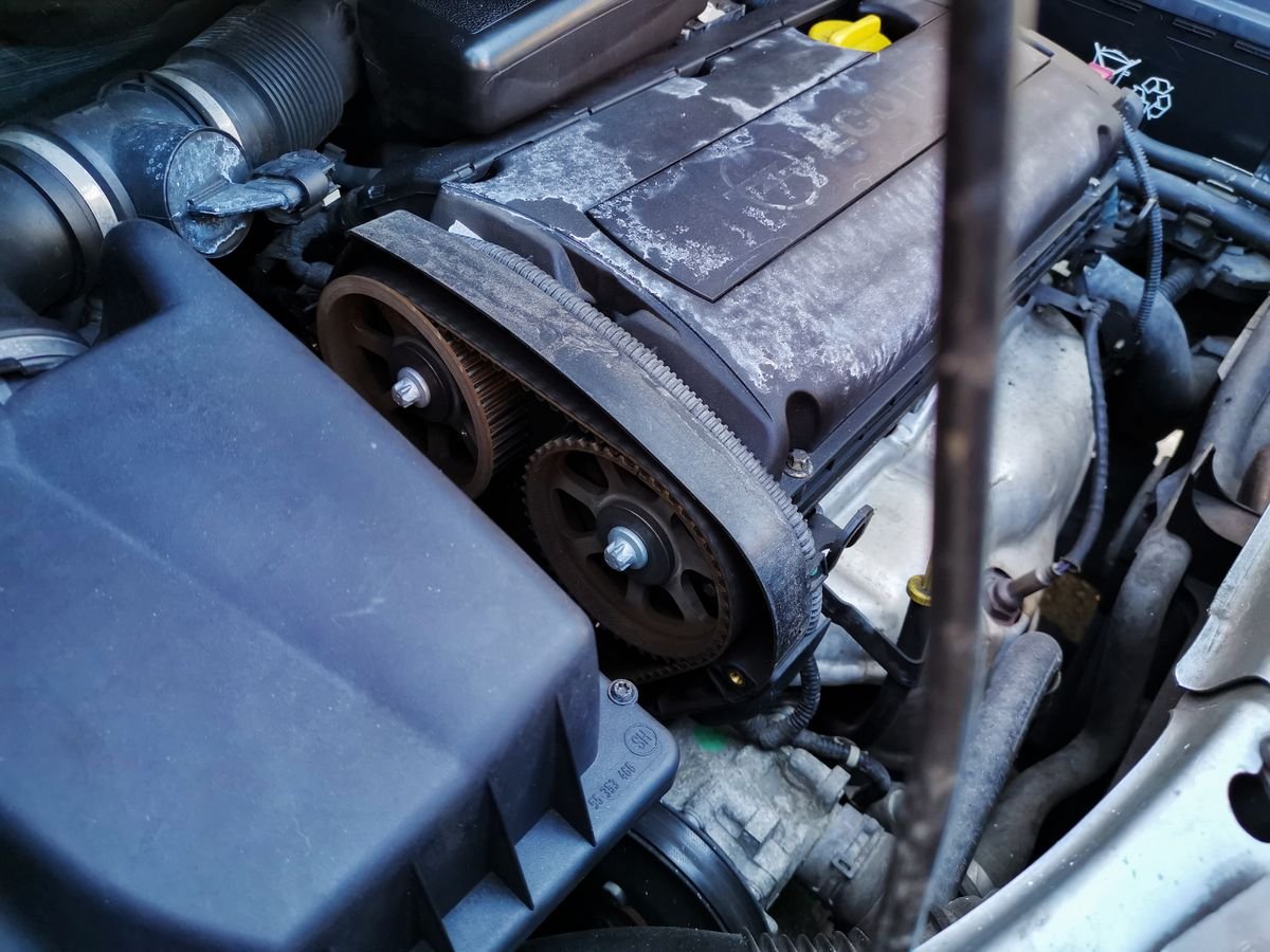 Correa de distribución de un motor